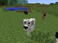 Dogs MOD for MCPE Screen Shot 1