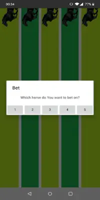 Horse Race Screen Shot 0
