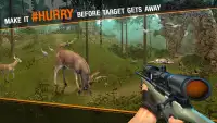 Deer Hunting Sniper Safari - Animals Hunt Screen Shot 3
