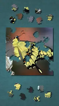 Butterfly Think Puzzle Screen Shot 5