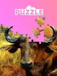 Animals of Africa: Pretty animal puzzles Screen Shot 1