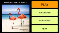 Oiseau LWP   Jeux Puzzle Screen Shot 0