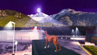 Simulator Anjing Greyhound Screen Shot 6