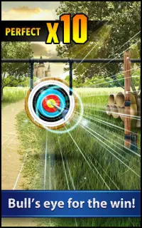 Archery Tournament Screen Shot 10