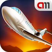 Flight Simulator 3D