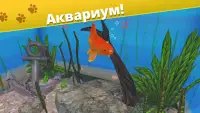 Pet World - приют для животных Screen Shot 5