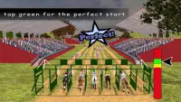 Real Racing Horse & Jumping Simulator 2018 Pro Screen Shot 7