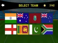 Cricket 2d Screen Shot 2