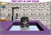 KittyZ Cat - Virtual Pet to take care and play Screen Shot 17