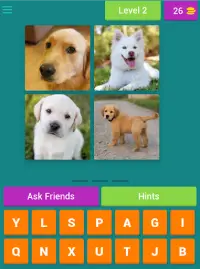 Animals quiz :Guess the animal name Screen Shot 5