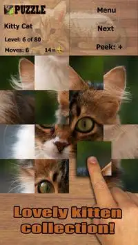 Quebra-cabeça do gatinho Screen Shot 1