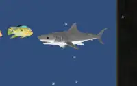 Angry Shark Adventure 3D Screen Shot 3