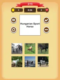 Horse Quiz Screen Shot 17