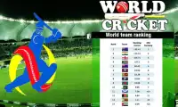 World Cricket Screen Shot 2