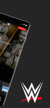 WWE Screen Shot 1