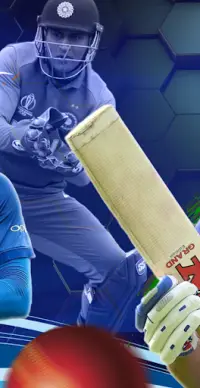 Cricket Win Screen Shot 1