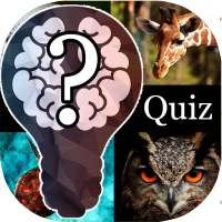 Quiz de Animales- adivina el animal
