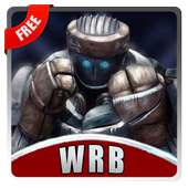 Guide for Real Steel - WRB