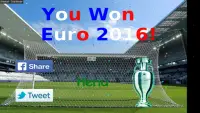 Euro 2016 Challenge Screen Shot 3