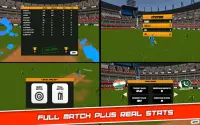 Cricket Superstar Screen Shot 5