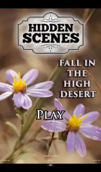 Hidden Scenes High Desert Fall Screen Shot 0