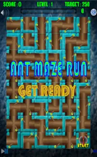 Ant Run Maze Screen Shot 0