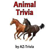 Animal Trivia