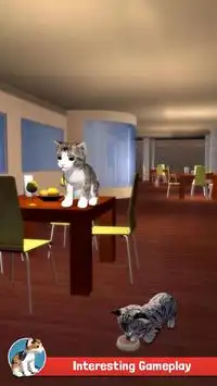 Cat Simulator Kitty 3D - FREE GAME Screen Shot 7