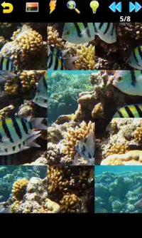 Ocean Puzzle Screen Shot 7