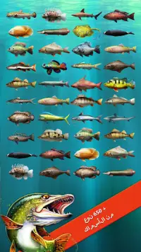 Let's Fish: لعبة صيد السمك Screen Shot 2