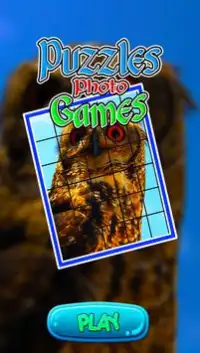 Owl Puzzle Games Screen Shot 0