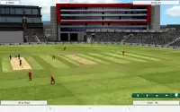 Cricket Captain 2022 Screen Shot 12