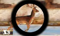 Deer Hunting Game Screen Shot 1