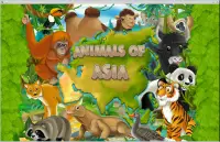 Puzzle coloring Asia Animals Screen Shot 0