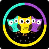 Color Owl Switch