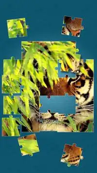 Tigers Jigsaw Puzzle Screen Shot 13