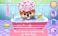 Boo - The World's Cutest Dog Screen Shot 2