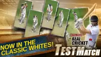 Real Cricket™ Test Match Screen Shot 2