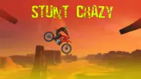 Stunt fou 3D Screen Shot 0