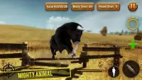 Angry Bull Hunting - Wild Bulls Hunter Screen Shot 1