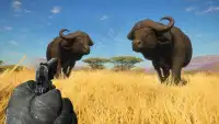 Wild Animal Hunting Game 3D Screen Shot 5