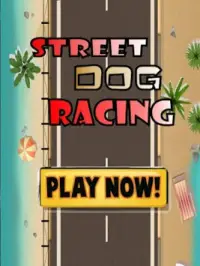 Car Racing: Street Dog Screen Shot 0