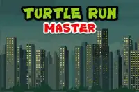 Turtle Run Master Screen Shot 4