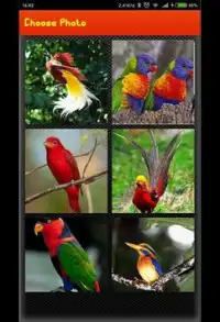 Picture Puzzle Game - Best Bird picture Screen Shot 1