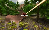 Deer Sniper: Hunting Game Screen Shot 4