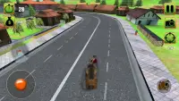 Wild Bear Attack Simulator Screen Shot 3