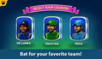 Kursi Cricket World Cup Screen Shot 5