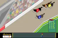 Dog Racing Screen Shot 4