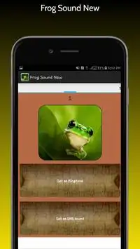 Frog Sound New Screen Shot 1