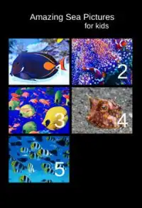 Amazing Sea Pictures For Kids Screen Shot 0